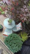 A photo of the property on Abbeydale Close, Coventry