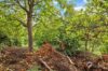 A photo of the property on Kingsbridge Road, Weddington, Nuneaton